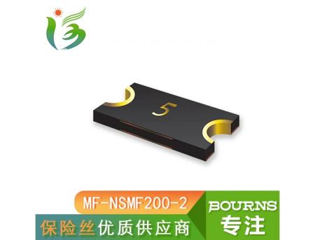 MF-NSMF200-2 SMD BOURNS/伯恩斯 伯恩斯自恢复保险丝