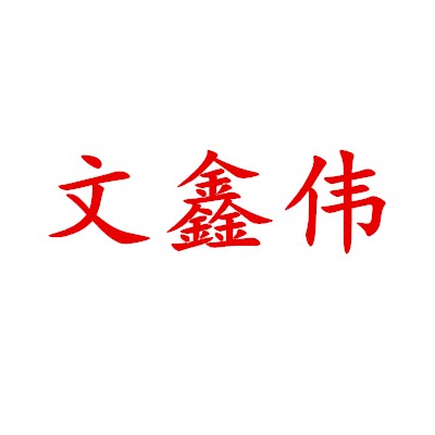 深圳市文鑫伟电子有限公司