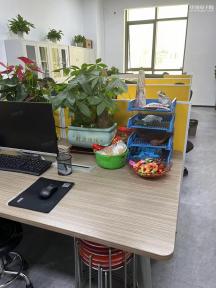 点击查看大图 深圳市星中晨科技有限公司实景