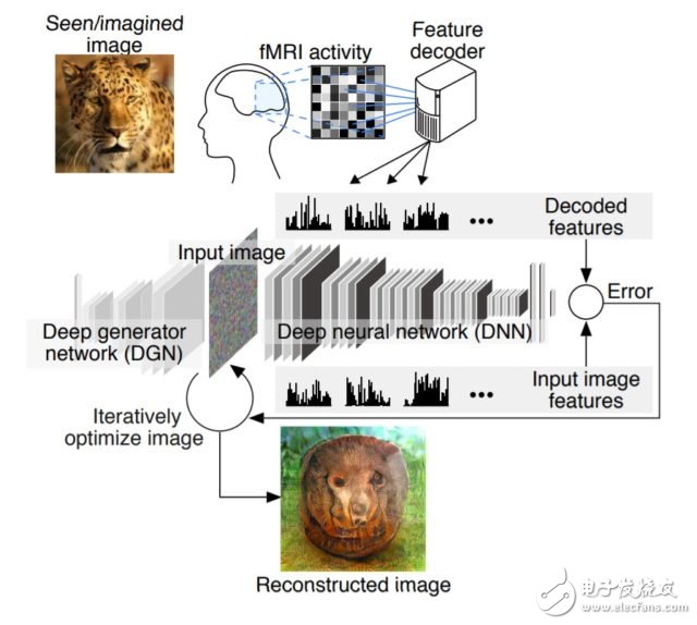 透过「译码」脑波，日本团队的 AI 能重建你脑中所见、所想
