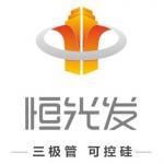 深圳市鼎德丰科技有限公司（原深圳市福田区恒光发电子经营部）logo