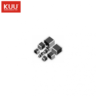 PUSI1608S170Q003