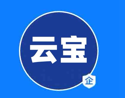 深圳市云宝国际电子有限公司