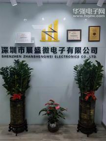 深圳市展盛微电子有限公司实景