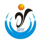 深圳市博轩亿科技有限公司logo