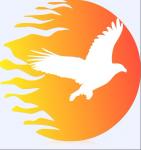 深圳市福田区鹏兴源电子商行logo