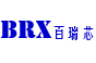 百瑞芯科技（深圳）有限公司logo
