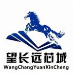 深圳市望长远电子有限公司logo