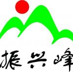 深圳市振兴峰科技有限公司logo