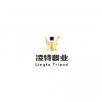 深圳市凌特鼎业科技有限公司logo