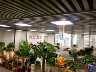 深圳市中勤电子有限公司实景