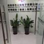 深圳市百立信电子有限公司实景