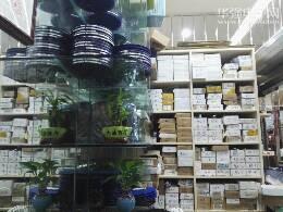 深圳市福田区新亚洲电子市场万盛电子经营部展示图3