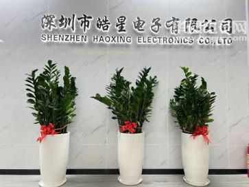 深圳市皓星电子有限公司实景