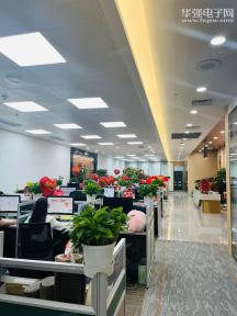 梵芯电子（深圳）集团有限公司实景