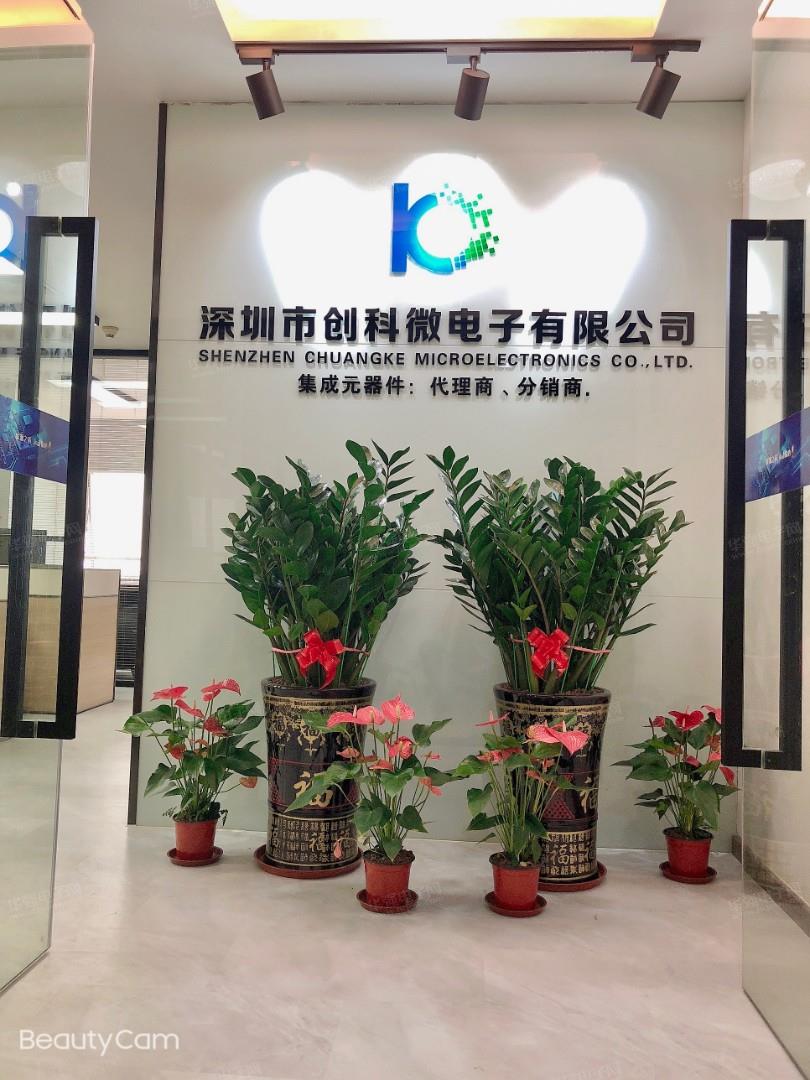 深圳市创科微电子有限公司展示图1