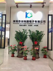 深圳市创科微电子有限公司实景