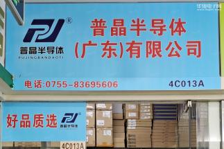 普晶半导体（广东）有限公司实景