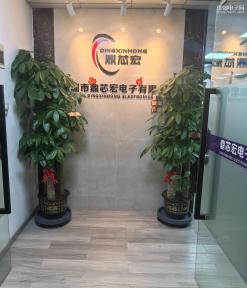 深圳市鼎芯宏电子有限公司实景