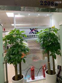 深圳市世纪芯尚电子科技有限公司实景