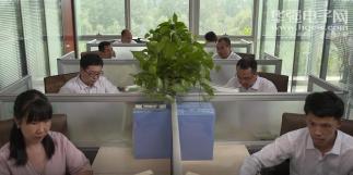 深圳市中声文科技有限公司实景
