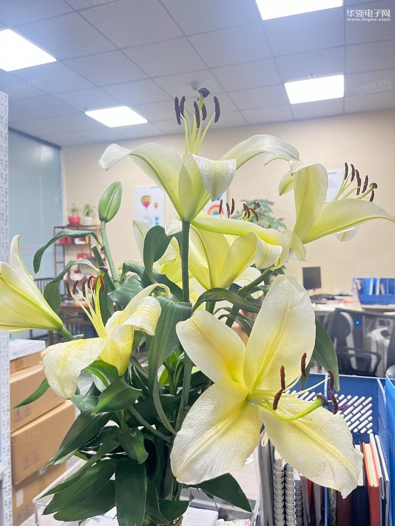 深圳永芯半导体有限公司展示图2