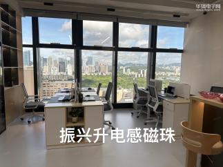深圳市振兴升电子有限公司实景