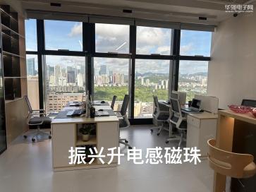 深圳市振兴升电子有限公司实景