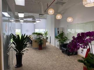 津鹿信息科技（上海）有限公司实景