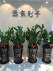 深圳市远东国际电子有限公司实景