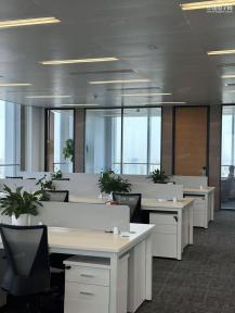 芯光半导体电子（深圳）有限公司实景