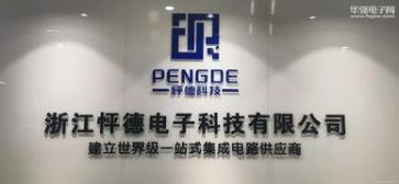 浙江怦德电子科技有限公司实景