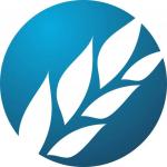 深圳市小麦半导体有限公司logo