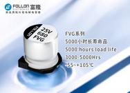 FVG 长寿命品