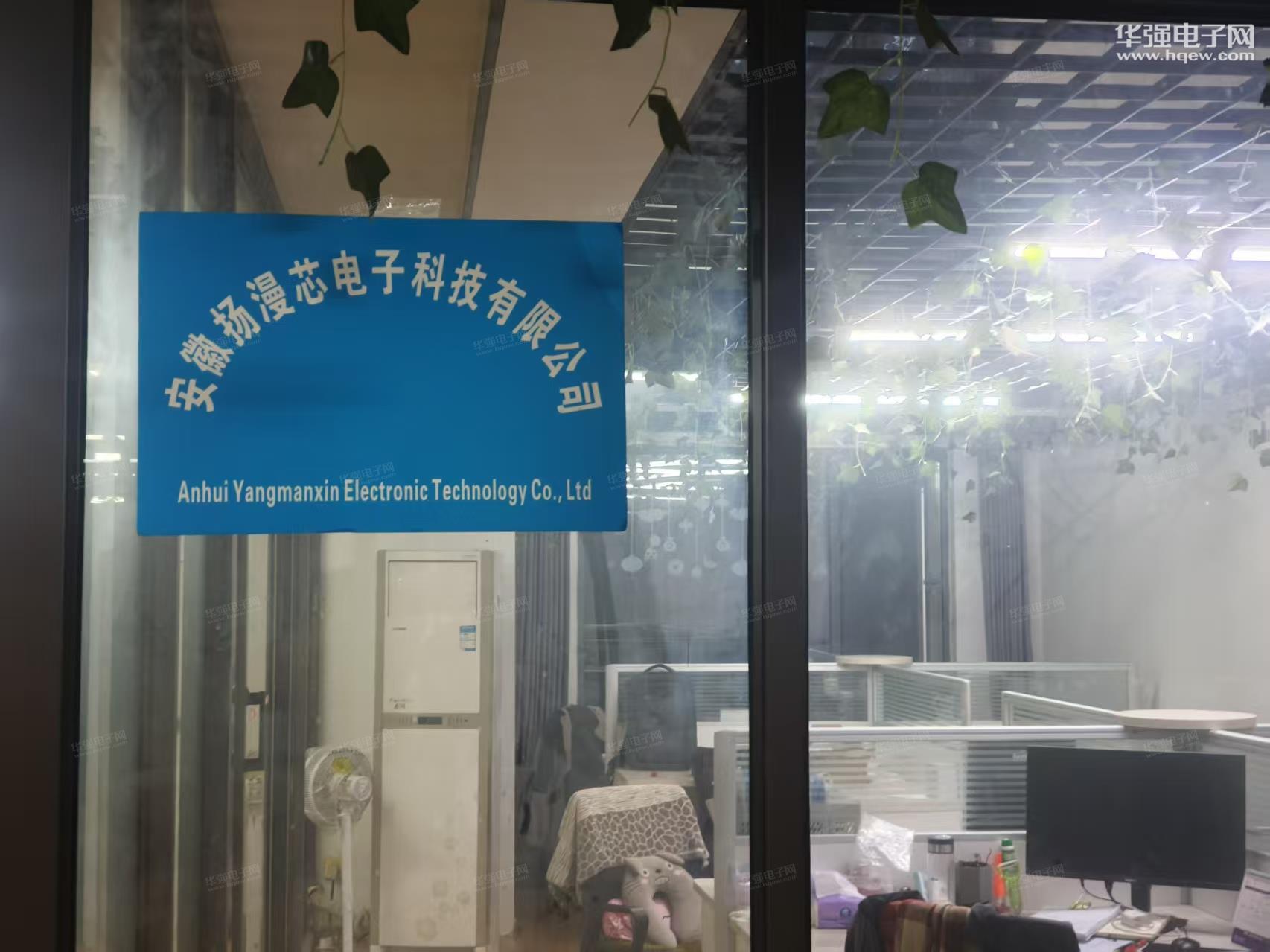 安徽扬漫芯电子科技有限公司展示图1