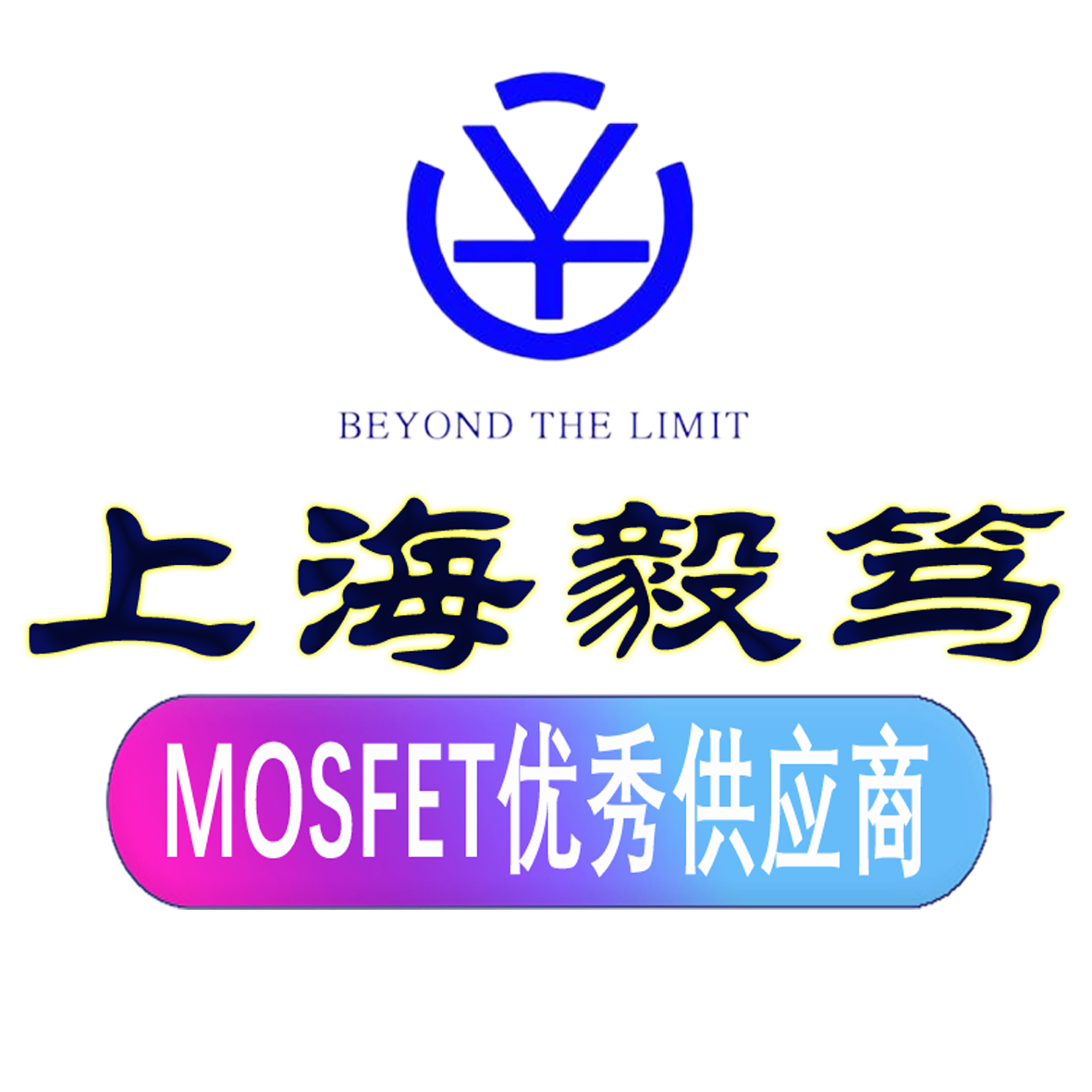 上海毅笃功率半导体科技有限公司